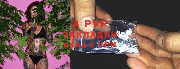 a pvp Аркадак