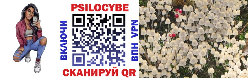 гидра ссылки  где купить наркоту  Облучье  Галлюциногенные грибы прущие грибы 